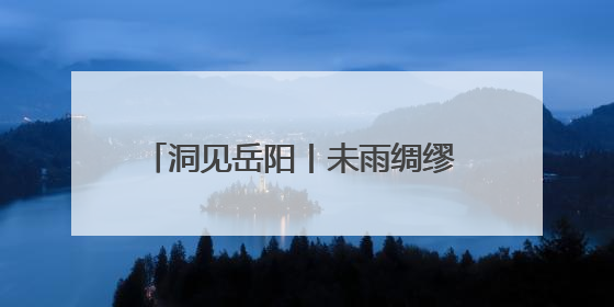 洞见岳阳丨未雨绸缪 打好防汛“主动仗”