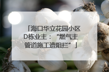 海口华立花园小区D栋业主：“燃气主管道施工遭阻拦”