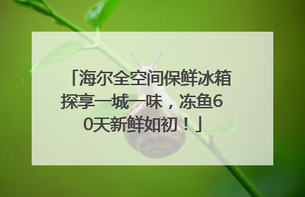 海尔全空间保鲜冰箱探享一城一味，冻鱼60天新鲜如初！