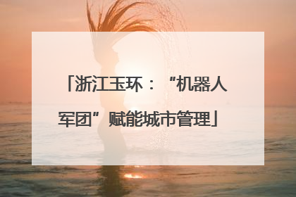 浙江玉环：“机器人军团”赋能城市管理