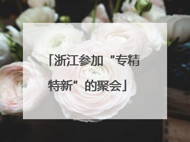浙江参加“专精特新”的聚会