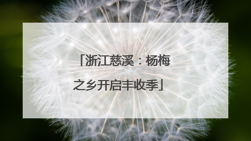 浙江慈溪：杨梅之乡开启丰收季