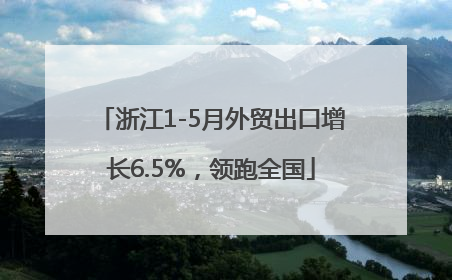 浙江1-5月外贸出口增长6.5%，领跑全国