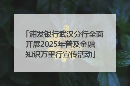 浦发银行武汉分行全面开展2025年普及金融知识万里行宣传活动