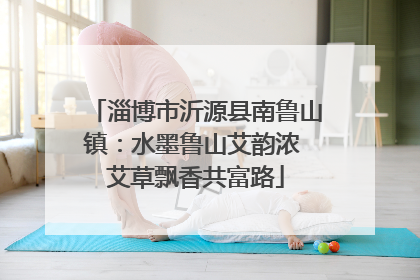 淄博市沂源县南鲁山镇：水墨鲁山艾韵浓 艾草飘香共富路