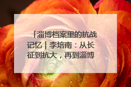 淄博档案里的抗战记忆｜李培南：从长征到抗大，再到淄博的革命足迹