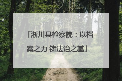 淅川县检察院：以档案之力 铸法治之基