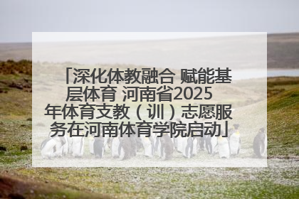 深化体教融合 赋能基层体育 河南省2025年体育支教（训）志愿服务在河南体育学院启动