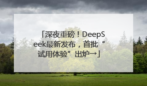 深夜重磅！DeepSeek最新发布，首批“试用体验”出炉→