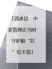 清水县：小麦管理正当时 守护粮“芯”绘丰景