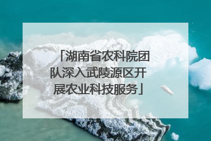 湖南省农科院团队深入武陵源区开展农业科技服务
