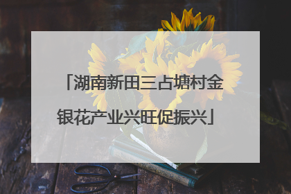 湖南新田三占塘村金银花产业兴旺促振兴