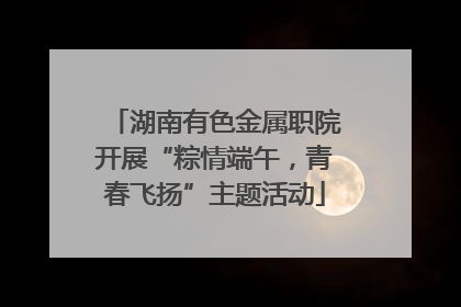 湖南有色金属职院开展“粽情端午，青春飞扬”主题活动