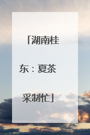 湖南桂东：夏茶采制忙