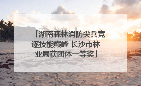 湖南森林消防尖兵竞逐技能巅峰 长沙市林业局获团体一等奖