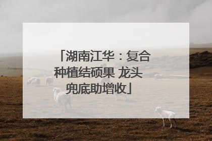 湖南江华：复合种植结硕果 龙头兜底助增收