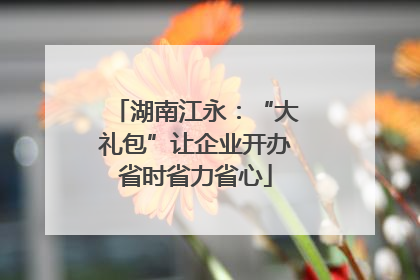 湖南江永：“大礼包”让企业开办省时省力省心