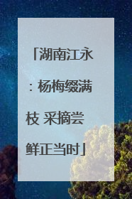 湖南江永：杨梅缀满枝 采摘尝鲜正当时