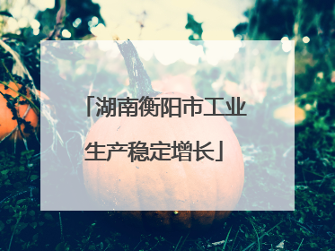 湖南衡阳市工业生产稳定增长