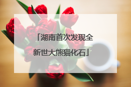 湖南首次发现全新世大熊猫化石