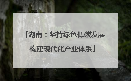 湖南：坚持绿色低碳发展 构建现代化产业体系