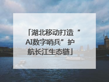 湖北移动打造“AI数字哨兵”护航长江生态链