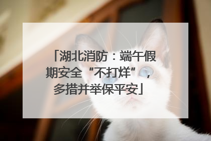 湖北消防：端午假期安全“不打烊”，多措并举保平安