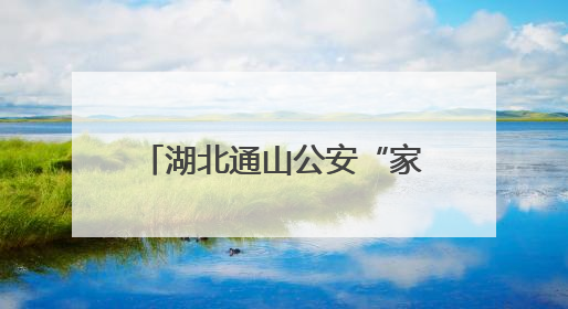 湖北通山公安“家+智慧”改革推进政务服务提质增效