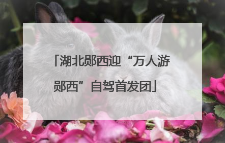 湖北郧西迎“万人游郧西”自驾首发团