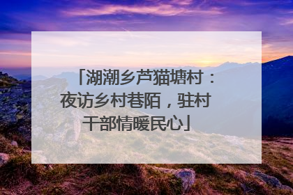 湖潮乡芦猫塘村：夜访乡村巷陌，驻村干部情暖民心