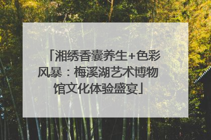 湘绣香囊养生+色彩风暴：梅溪湖艺术博物馆文化体验盛宴