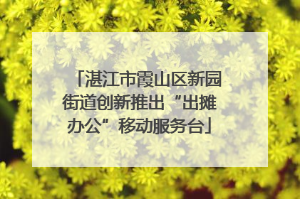湛江市霞山区新园街道创新推出“出摊办公”移动服务台