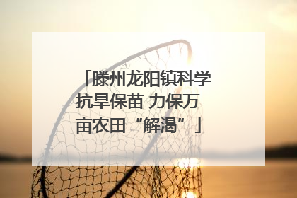 滕州龙阳镇科学抗旱保苗 力保万亩农田“解渴”