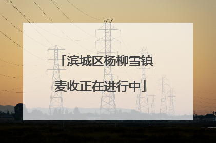 滨城区杨柳雪镇麦收正在进行中