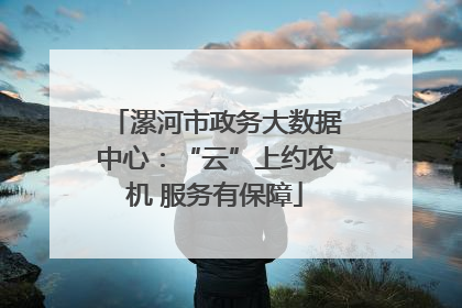 漯河市政务大数据中心：“云”上约农机 服务有保障