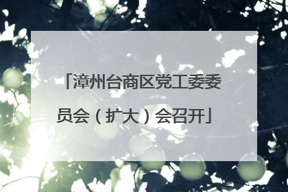 漳州台商区党工委委员会（扩大）会召开
