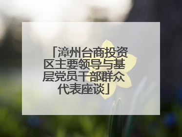 漳州台商投资区主要领导与基层党员干部群众代表座谈