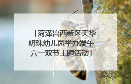 菏泽鲁西新区天华明珠幼儿园举办端午六一双节主题活动