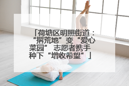 荷塘区明照街道：“撂荒地”变“爱心菜园” 志愿者携手种下“增收希望”