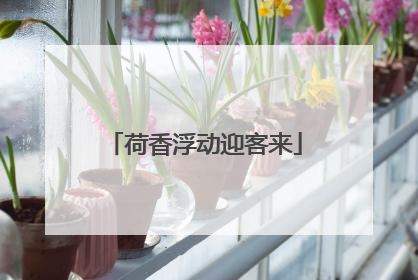 荷香浮动迎客来