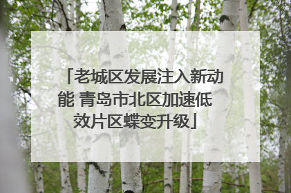 老城区发展注入新动能 青岛市北区加速低效片区蝶变升级