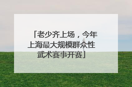 老少齐上场，今年上海最大规模群众性武术赛事开赛