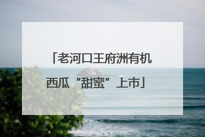 老河口王府洲有机西瓜“甜蜜”上市