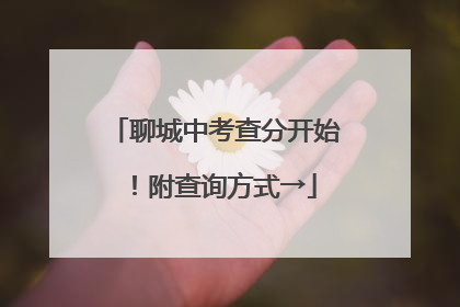 聊城中考查分开始！附查询方式→