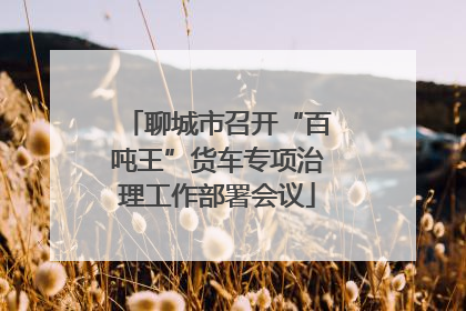 聊城市召开“百吨王”货车专项治理工作部署会议