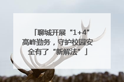 聊城开展“1+4”高峰勤务，守护校园安全有了“新解法”