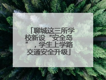 聊城这三所学校新设“安全岛”，学生上学路交通安全升级