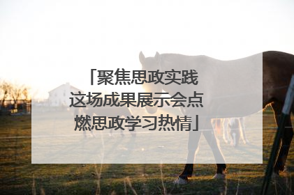聚焦思政实践 这场成果展示会点燃思政学习热情