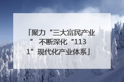 聚力“三大富民产业” 不断深化“1131”现代化产业体系