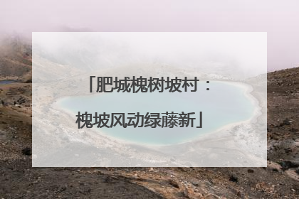 肥城槐树坡村：槐坡风动绿藤新